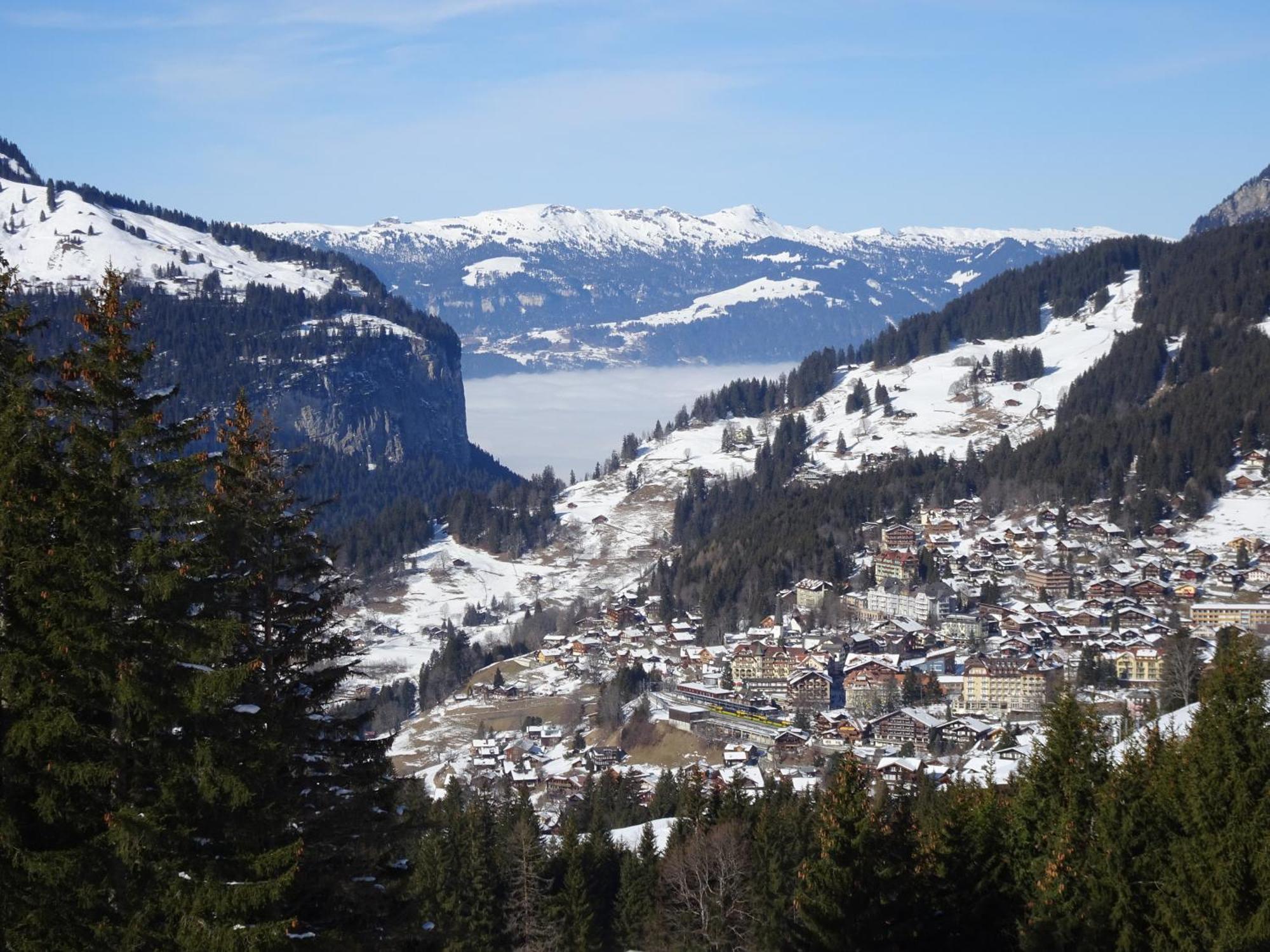 Chalet Alpina Gyger Венген Экстерьер фото