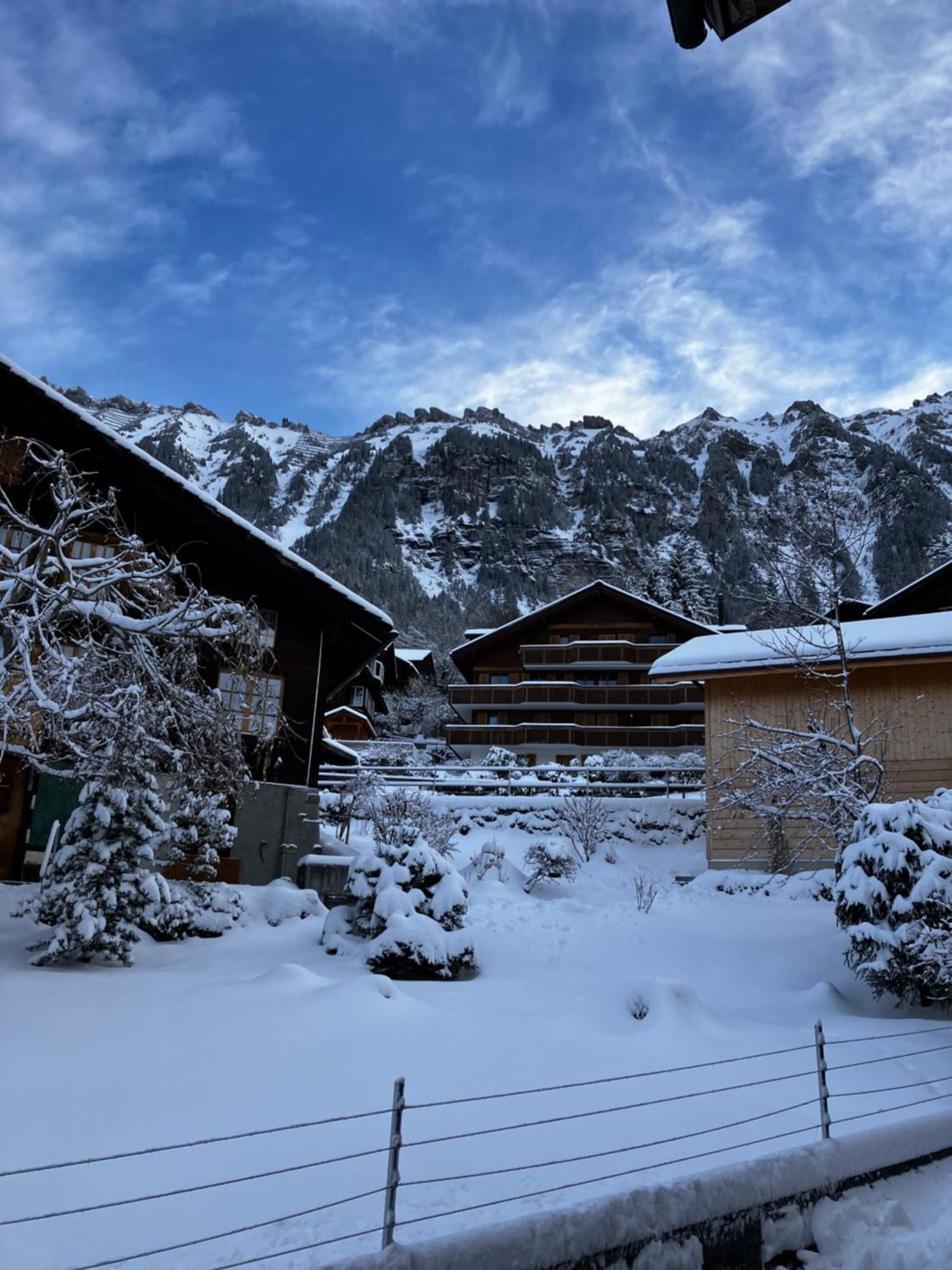 Chalet Alpina Gyger Венген Экстерьер фото